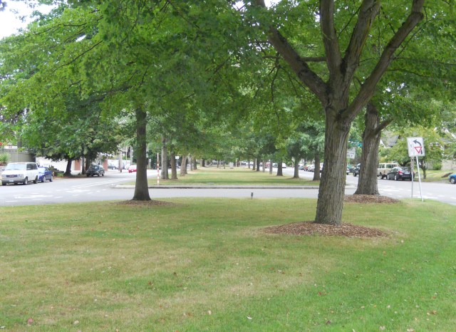 Ravenna Boulevard, part of Seattle's Olmstead boulevard system.