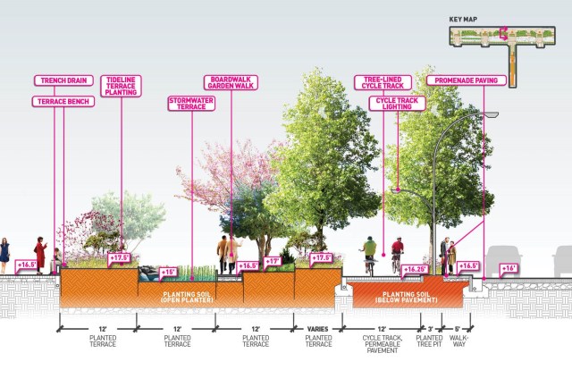 A section view of the planted portion of the waterfront that will filter stormwater. This area will be narrowed or removed altogether under the I-123 proposal. (City of Seattle)